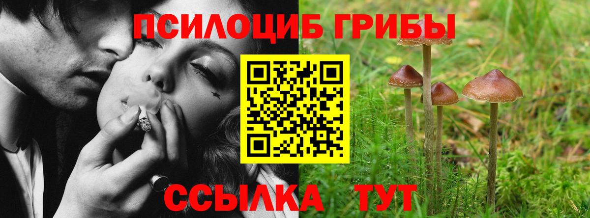 Реутов  Псилоцибиновые грибы MAGIC MUSHROOMS  Вход с VPN 
