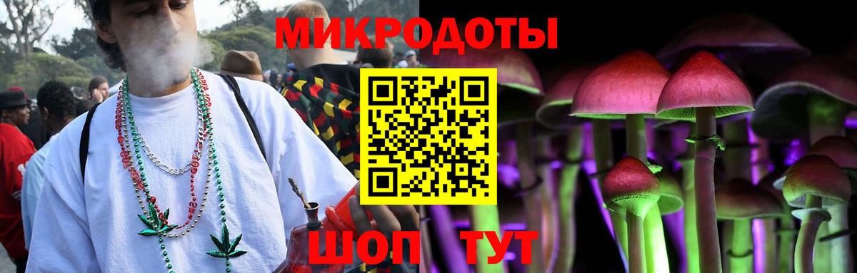 Псилоцибиновые грибы прущие грибы Реутов